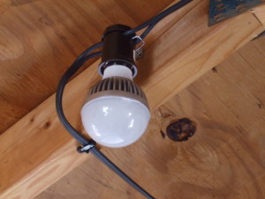 Bulb and Socket Front