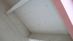 Typical Eave Box Before Any Work